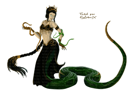 serpent - zdarma png