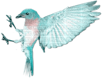 soave deco bird spring pink teal - png gratuito