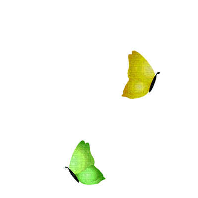 mariposas gif dubravka4 - Δωρεάν κινούμενο GIF