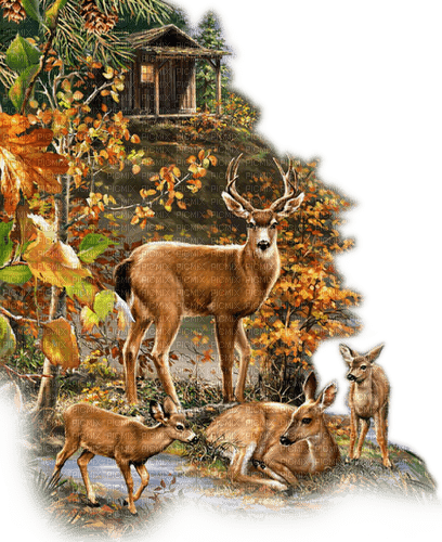 Rena Tiere Hirsch Rehe Familie Forest Wald - 無料png