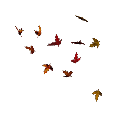 autumn leaves_automne feuille__Blue DREAM 70 - 免费动画 GIF