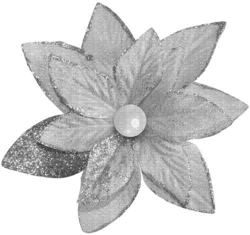 Christmas.Flower.Silver - 無料png