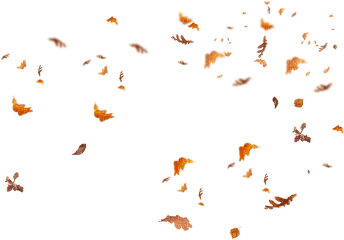 Autumn leaves - PNG gratuit