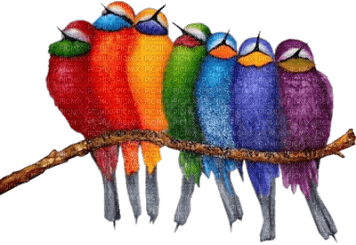 spring printemps bird vögel oiseaux deco tube colorful colored vogel oiseau birds - PNG gratuit