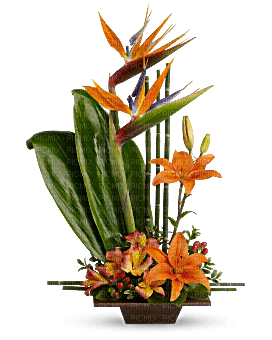 Kaz_Creations  Flowers Vase - png ฟรี