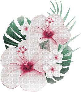 soave deco summer flowers tropical pink green - PNG gratuit
