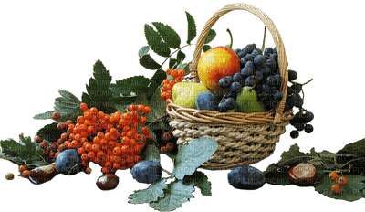 fruit - png gratuito
