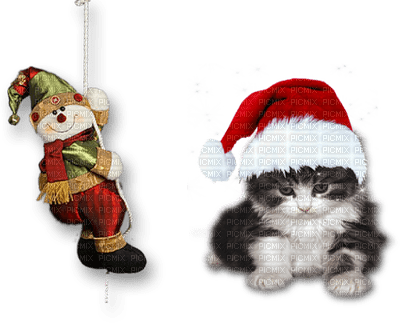 Kaz_Creations Hanging Snowman Animals Cat Kitten Christmas - png ฟรี