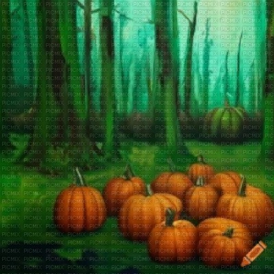 Green Forest with Pumpkin Patch - besplatni png