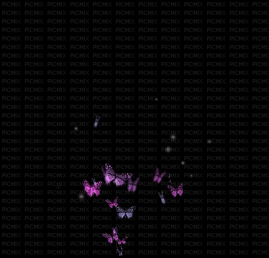 Purple Butterfly Background - 免费动画 GIF