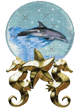 dolphin globe - GIF animado gratis