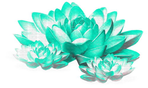 Flowers.Teal.White - 無料png