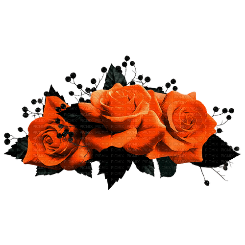 Gothic.Roses.Black.Orange - besplatni png