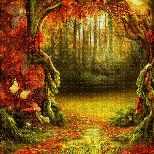 kikkapink fantasy background forest autumn - kostenlos png