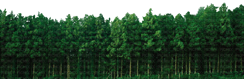Wald - Bezmaksas animēts GIF