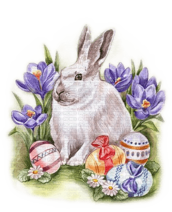 Ostern, Frühling, Eier, Hase, Blumen - Free PNG