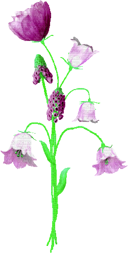 Animated.Flowers.Purple - By KittyKatLuv65 - Бесплатни анимирани ГИФ