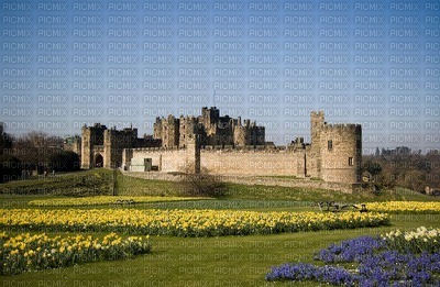 Castle used in Downtown Abbey - gratis png