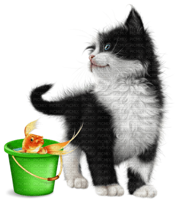 Kaz_Creations Cats Cat Kittens Kitten - безплатен png