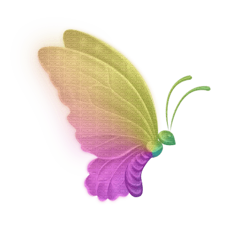 Schmetterling butterfly - PNG gratuit