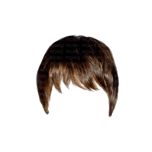 parrucca - darmowe png