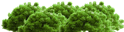Wald - Gratis animeret GIF