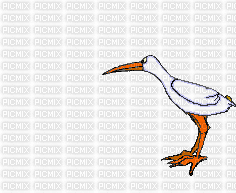 oiseaux - Animovaný GIF zadarmo