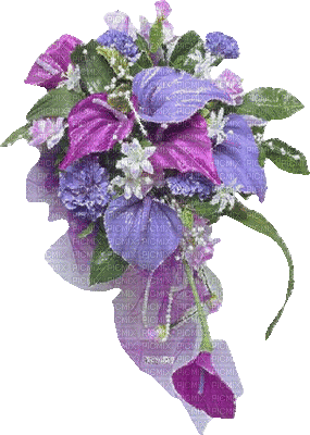 Cvijeće - Gratis geanimeerde GIF