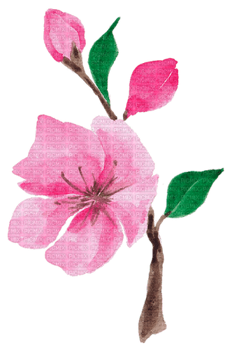 aquarelle,  fleur, Orabel - PNG gratuit