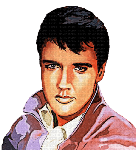Elvis the King - ücretsiz png
