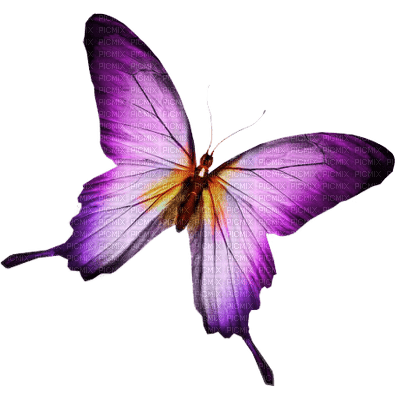 papillon violet.Cheyenne63 - PNG gratuit