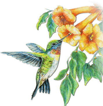 soave deco branch flowers summer spring bird - δωρεάν png