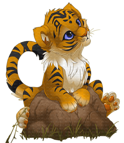 cut little tiger - kostenlos png