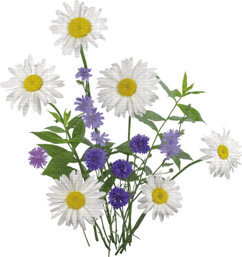 wild flowers sunshine3 - δωρεάν png