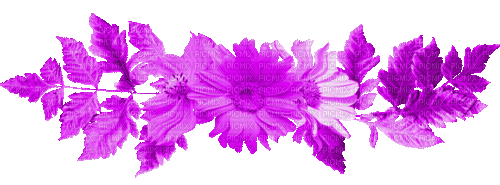 Leaves.Flowers.Purple.Animated - KittyKatLuv65 - Zdarma animovaný GIF