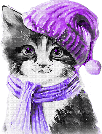 soave cat animals winter deco black white purple - фрее пнг