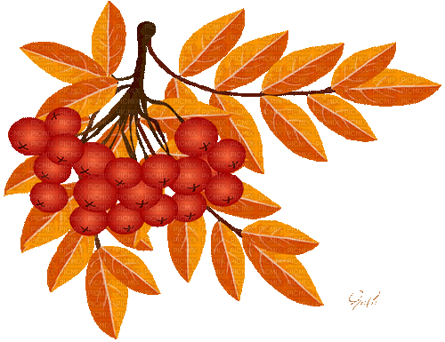 Herbst 8 - Nemokamas animacinis gif