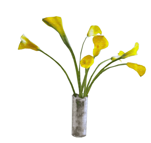 Bloemen in vaas - PNG gratuit