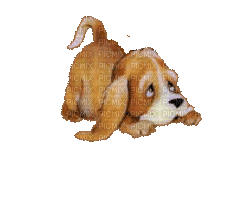 puppy - GIF animado grátis
