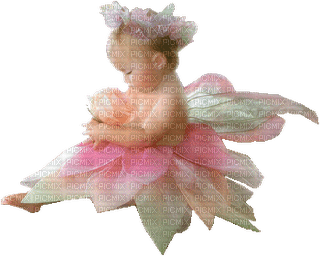 baby fairy laurachan - Free PNG