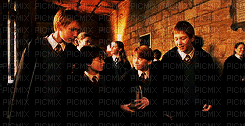 Fred et Goerge Weasley - Darmowy animowany GIF