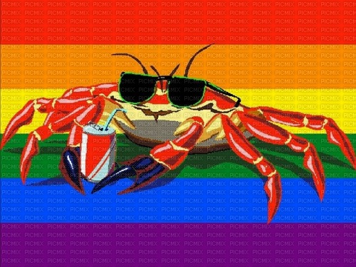 Gay rainbow pride flag cool crab by foone - 無料png
