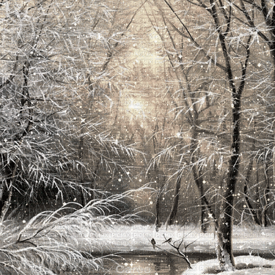 Winter snow background - Animovaný GIF zadarmo