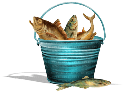 seau poissons - ücretsiz png