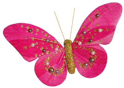 Butterfly rose TS - ingyenes png