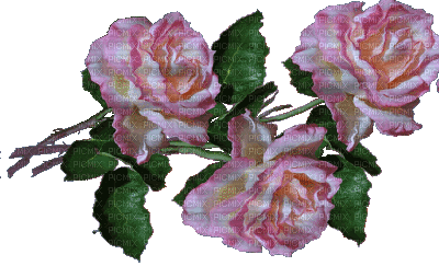 wavy roses - Kostenlose animierte GIFs