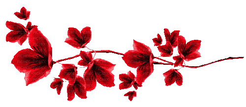 Animated.Flowers.Red - By KittyKatLuv65 - GIF animado grátis