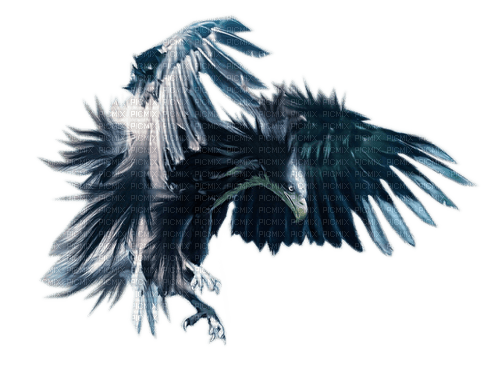 Rena blue eagle Adler blau - png gratis