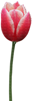 Kaz_Creations Deco Flowers Tulips Flower - 免费PNG