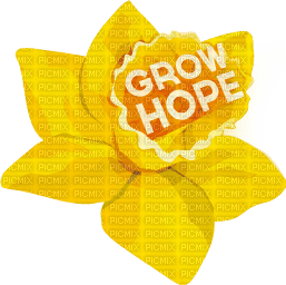 Daffodil Day bp - kostenlos png